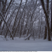 pictures/salmon-river-2-rays-trees.png