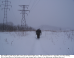pictures/salmon-river-3-power-lines.png