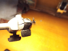 pictures/pic20.jpg