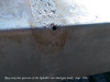 pictures/pic15.jpg