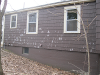 pictures/pic10.jpg