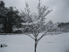 pictures/pic22.jpg