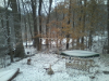 pictures/pic2.jpg